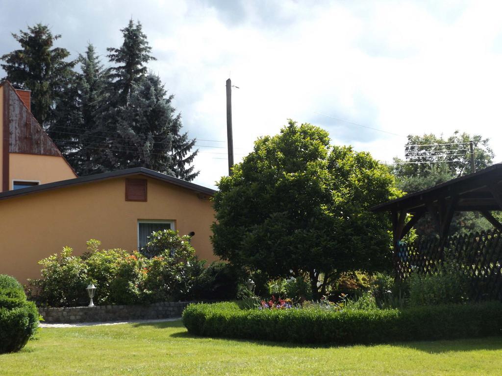 Cosy Apartment With In Pirna With Private Terrace ภายนอก รูปภาพ