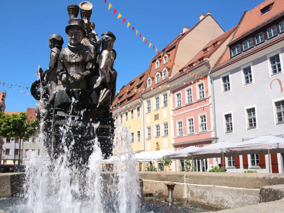 Cosy Apartment With In Pirna With Private Terrace ภายนอก รูปภาพ
